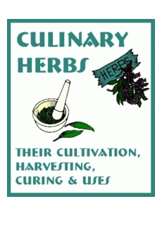 (image for) Culinary Herbs