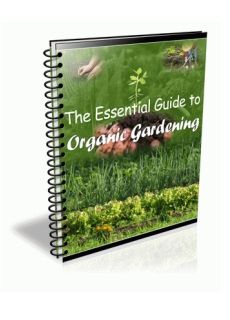 (image for) The Essential Guide to Organic Gardening