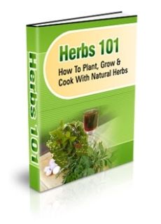 (image for) Herbs 101