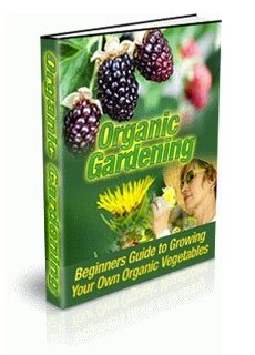 (image for) Organic Gardening
