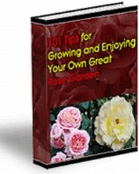 (image for) 101 Tips for Growing & Enjoying Your Own Great Rose Garden (PLR)