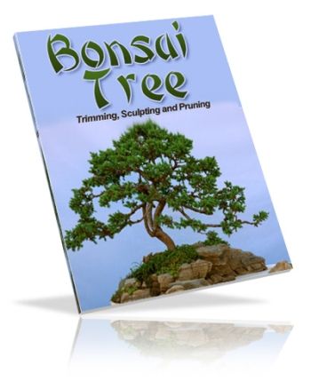(image for) Bonsai Trees: Growing, Trimming, Sculpting & Pruning (PLR)