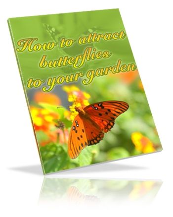 (image for) How to Attract Butterflies to Your Garden (PLR)