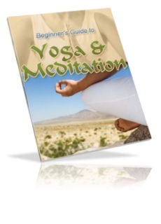 (image for) Yoga & Meditation